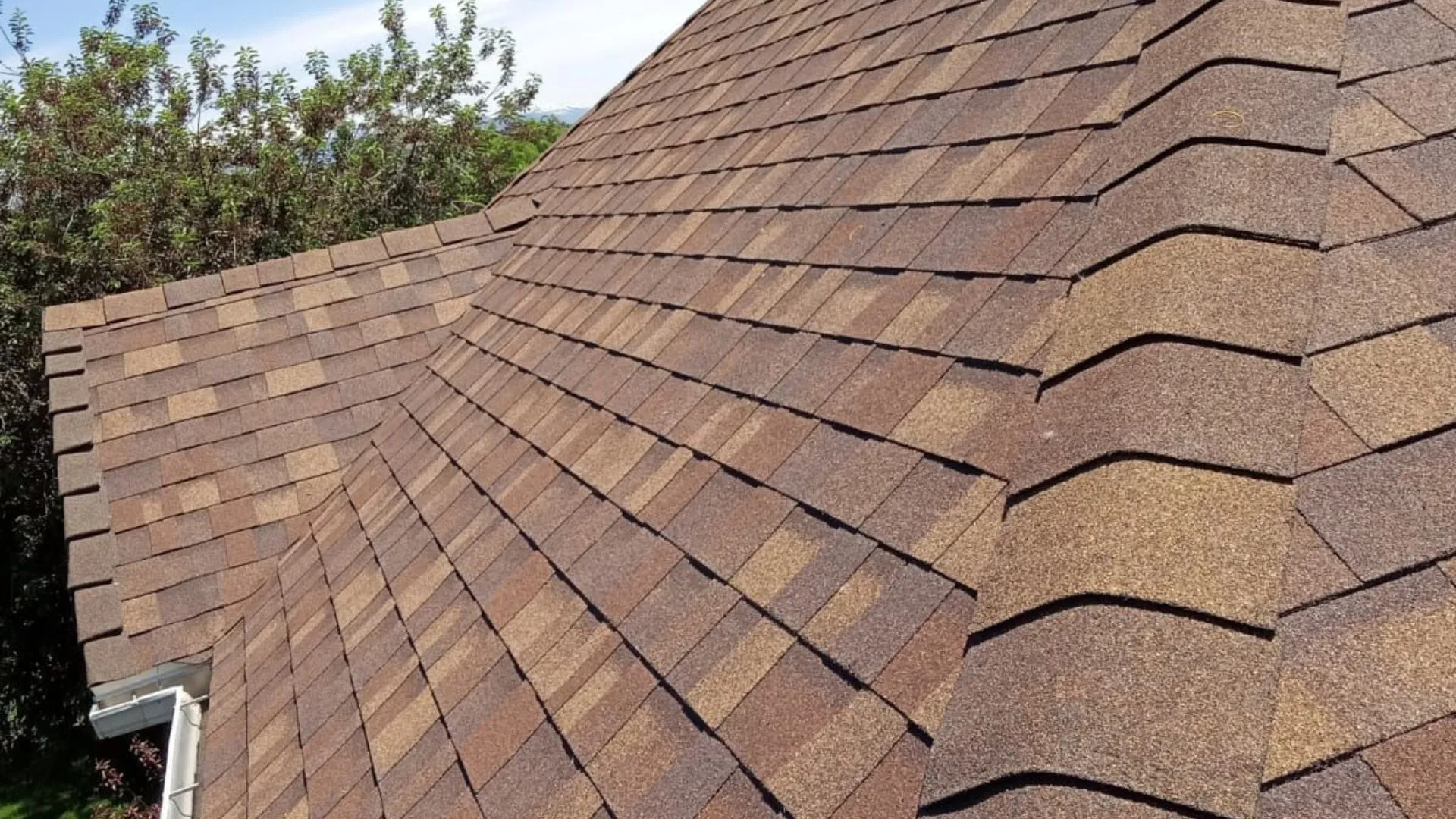 A gray shingled roof viewed from above, showing multiple roof angles and vents. The background includes a suburban neighborhood with green lawns.